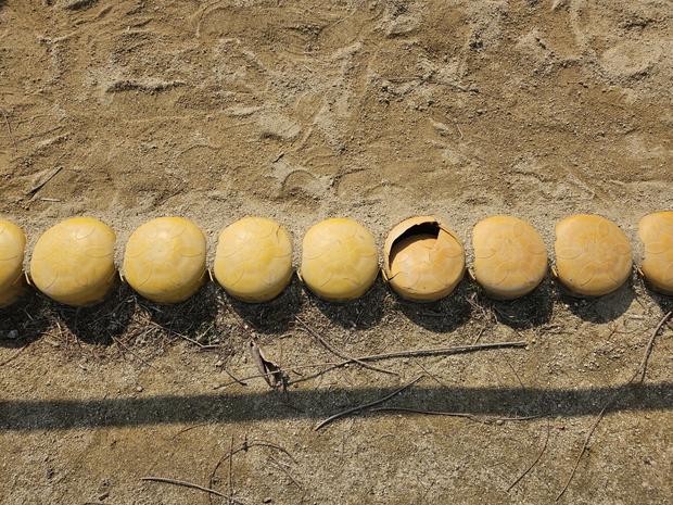 도양읍 소학교 운동장 유지보수, 안전과 최고의 수준으로! 전문 시공 꿀팁!