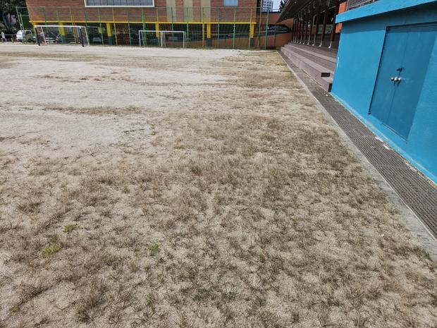 도양읍 소록출장소 고등학교 운동장, 안전 설계부터 유지보수까지 전문가의 지침!