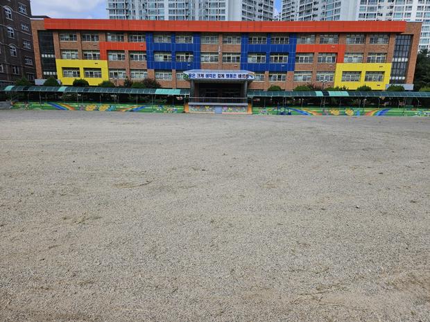 풍양면병설유치원 운동장 소금살포: 전국산업안전으로 건강한 놀이 공간 만들어보세요