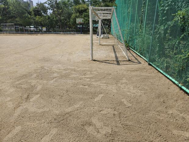 학교 운동장 잡초 제거, 전국산업안전으로 최상의 건강 환경 만들어봐!