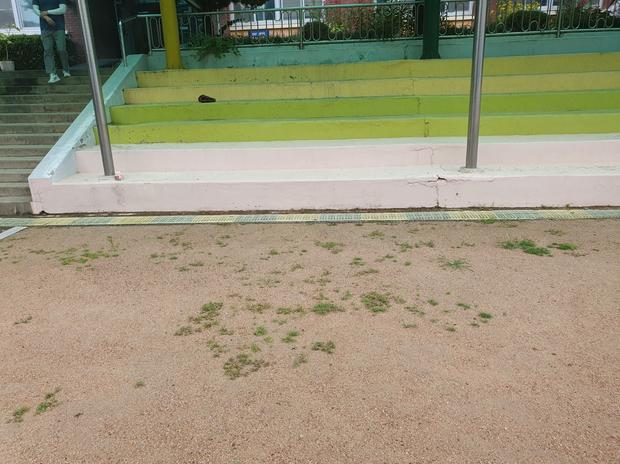 어린이집 운동장 관리, 전문가로 걱정 끝! 안전하게 유지보수하는 방법