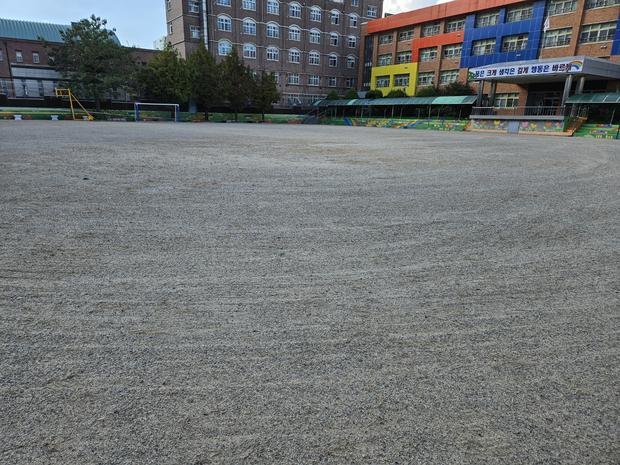학교 운동장 관리, 점암면병설유치원 안전! 전문 시공으로 걱정 끝!