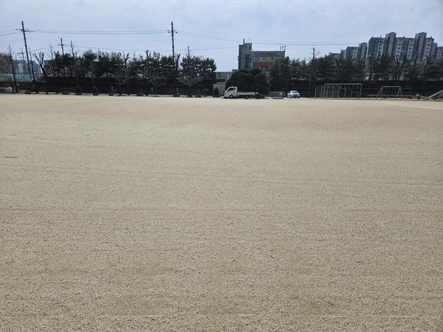 학교 운동장 잡초 제거, 전문 시공으로 안전하게! 점암면병설유치원 완성!
