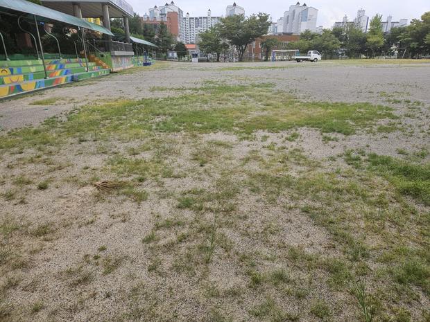 과역면초등학교 운동장 유지 보수: 안전 & 효율성 최우선, 전문 시공으로 걱정 끝!