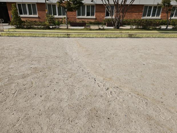 학교 운동장 안전, 과역면병설유치원 꼼꼼하게 관리하세요!