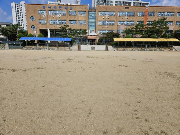 남양면고등학교 운동장 관리, 안전과 품질까지 전국산업안전으로!