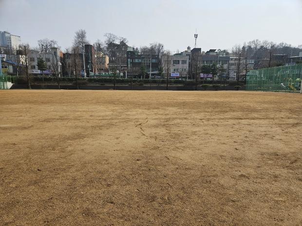 ? 운동장 잡초 제거? 전문 시공으로 안전하고 효율적인 관리!