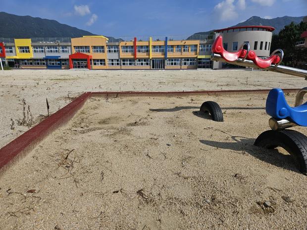 보성군중학교 운동장 잡초 제거, 전국산업안전으로 안전한 놀이터 만들기! 관련 이미지