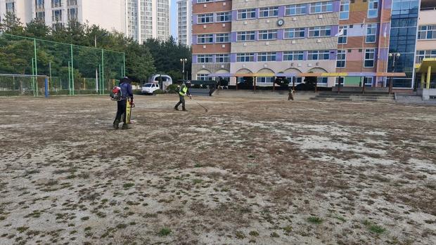 보성읍고등학교 운동장 관리, 핵심 전문가를 찾아보세요!