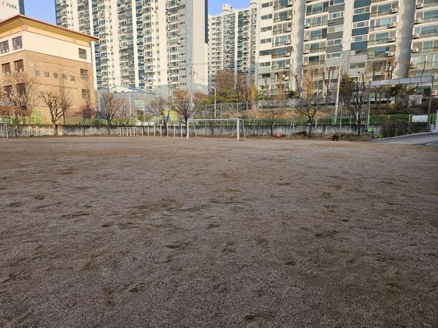 벌교읍유치원운동장소금살포: 전문 시공으로 안전하고 쾌적한 운동장 만들기