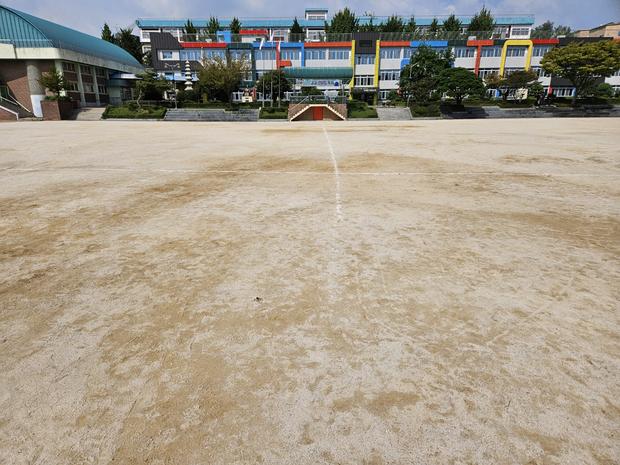 벌교읍고등학교 운동장 소금살포, 전국산업안전으로 걱정 끝! 관련 이미지