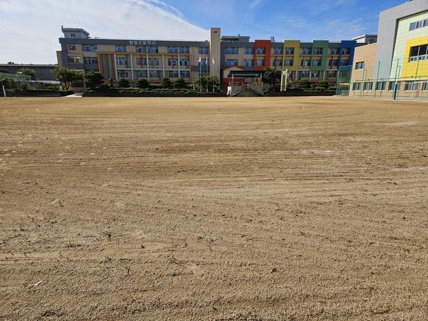 학교 운동장 잡초 제거, 안전 & 효율성! 전문 시공으로 더욱 건강하게!