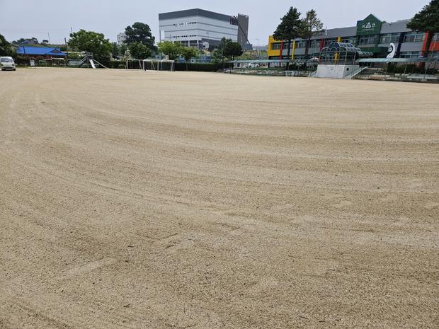 미력면고등학교 운동장 잡초 제거: 전국산업안전으로 안정적인 운동 환경 만들기