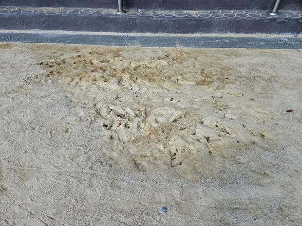 학교 운동장 안전 설계: 전국산업안전 율어면초등학교 운동장 소금살포