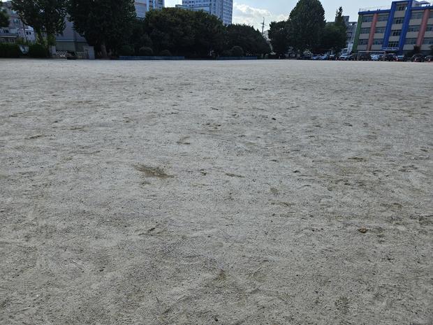 학교 운동장 잡초 제거, 안전과 정밀한 전국산업안전으로 문덕면어린이집 깨끗하게!