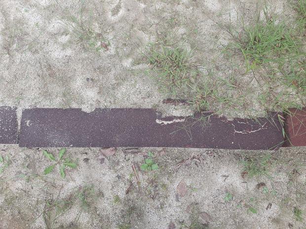 득량면병설유치원 운동장 잡초 제거: 안전하고 효과적인 방법