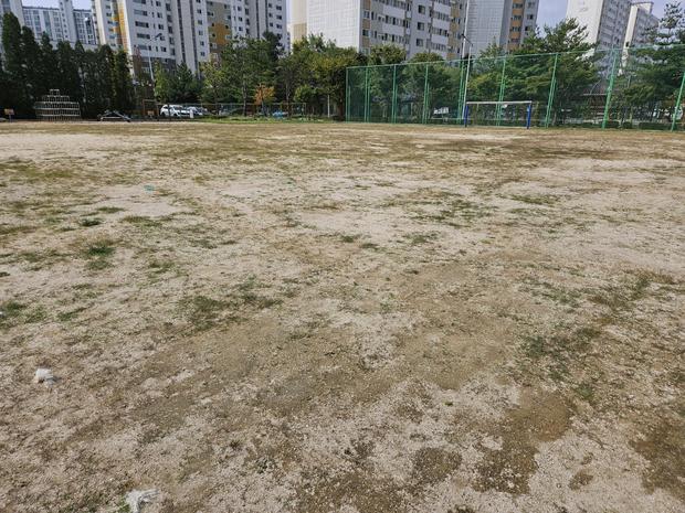웅치면고등학교 운동장 잡초 제거: 전문 시공으로 안전과 품질 최적화!