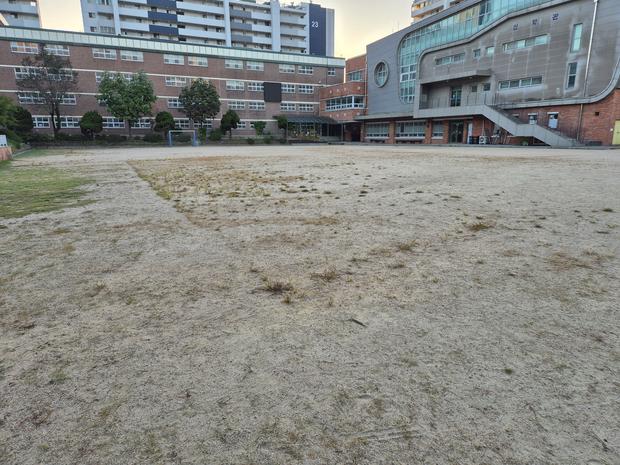 학교 운동장 잡초 제거, 전국산업안전으로 안전하고 깨끗한 놀이터 만들어보세요!