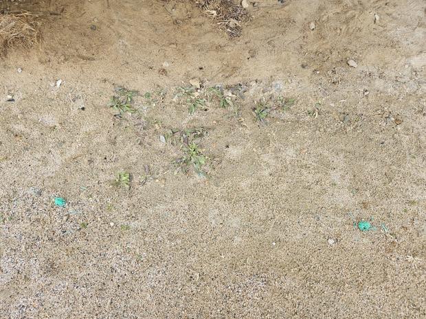 화순읍초등학교 운동장 모래보충, 전문 시공으로 안전하고 깨끗한 장비 확립하기! 관련 이미지