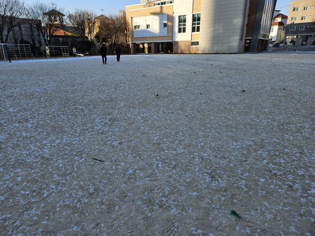 화순어린이집 운동장 관리 전문가로 걱정 없이 건강하고 안전한 놀이터 만들기!