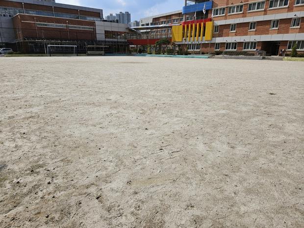 화순읍민원출장소 운동장 관리 전문가, 안전하고 튼튼하게 지켜줄께! 관련 이미지