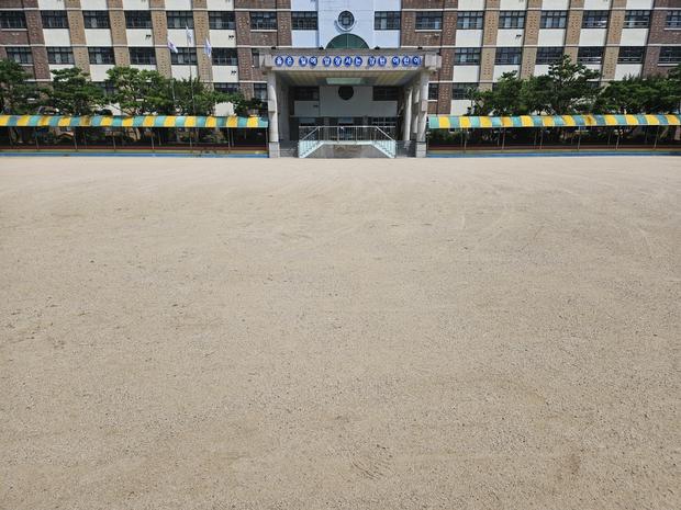한천면 영외출장소 병설 유치원 운동장 소금살포: 학교 시설관리 전문가로부터 안전 걱정...