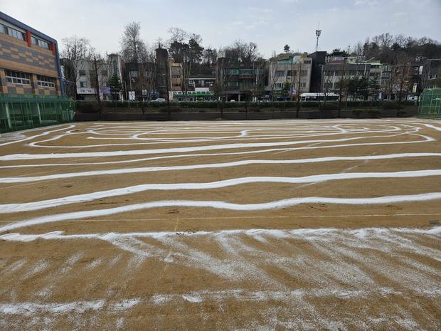 춘양면초등학교 운동장 잡초 제거 | 전국산업안전, 안전하고 깨끗한 환경 공유