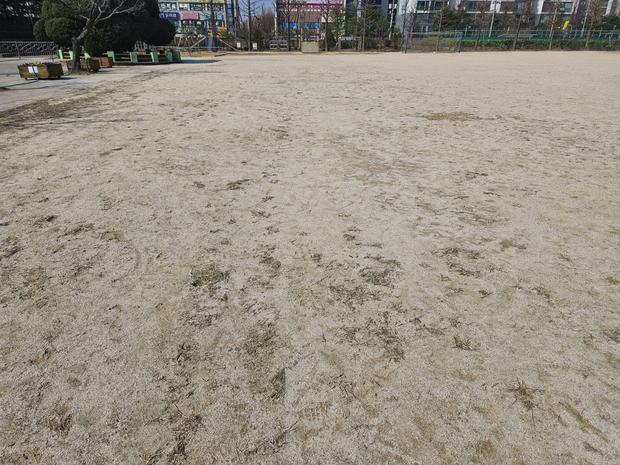 춘양면고등학교 운동장 안전, 전문 시공으로 걱정 없이 놀아보세요!