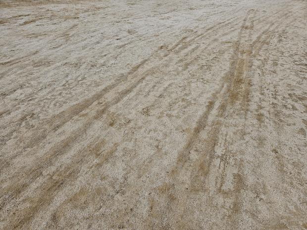 춘양면고등학교 운동장 잡초 제거: 전국산업안전으로 건강한 놀이터 만들기!