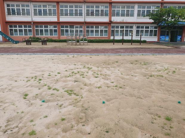 이양면유치원 운동장 소금살포: 전국산업안전으로 안전하고 쾌적한 환경 만들기! 관련 이미지