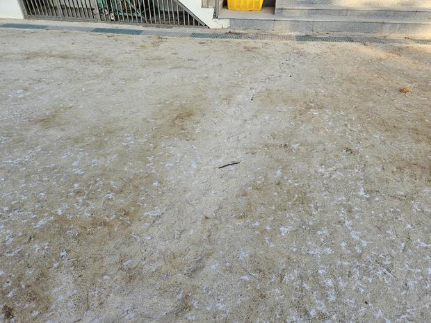 이양면중학교 운동장 모래보충, 전국산업안전으로 10년 안정성 확보!