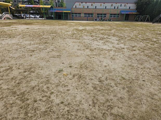 이양면고등학교 운동장 안전, 전국산업안전  certified!