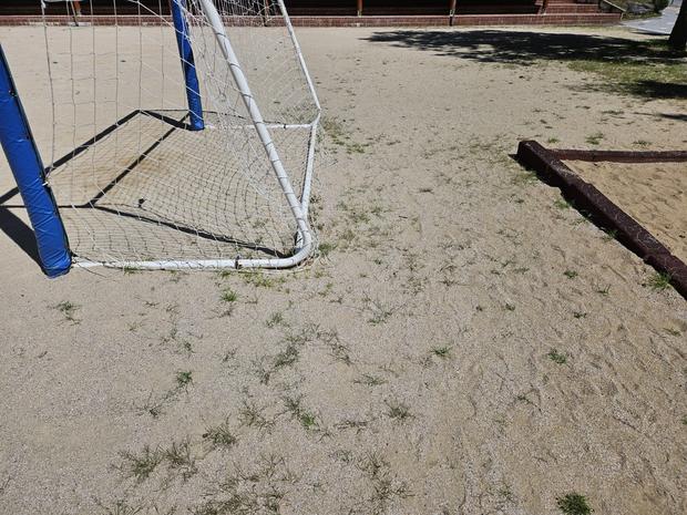 이양면어린이집 운동장 관리: 전문가를 믿고 안전하게 놀라야 해!