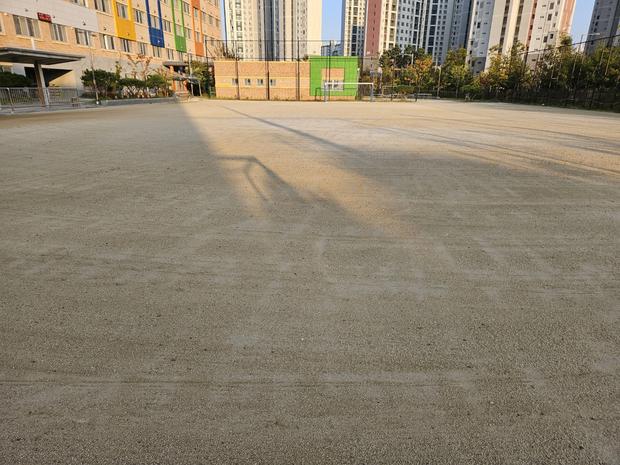 능주면초등학교 운동장 관리, 전국산업안전으로 안전하고 쾌적한 공간 만들기!