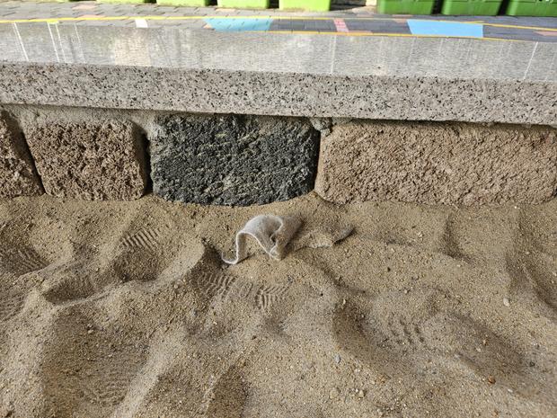 도곡면유치원운동장 안전 유지보수, 전국산업안전 꿀팁!