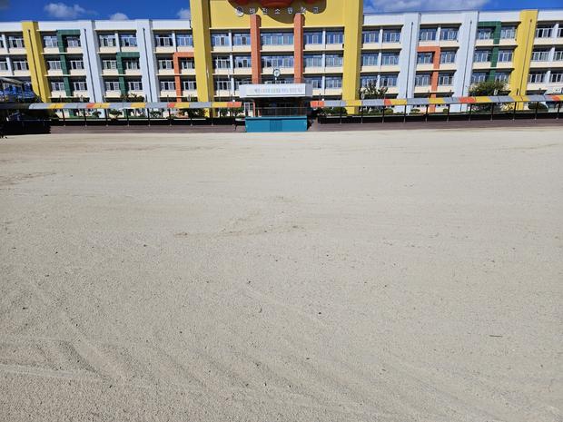 도암면 유치원 운동장 잡초 제거,  안전 & 효율성! 전문 시공으로 완벽하게!