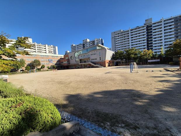 이서면초등학교 운동장 관리: 안전하고 깨끗하게, 전국산업안전으로!