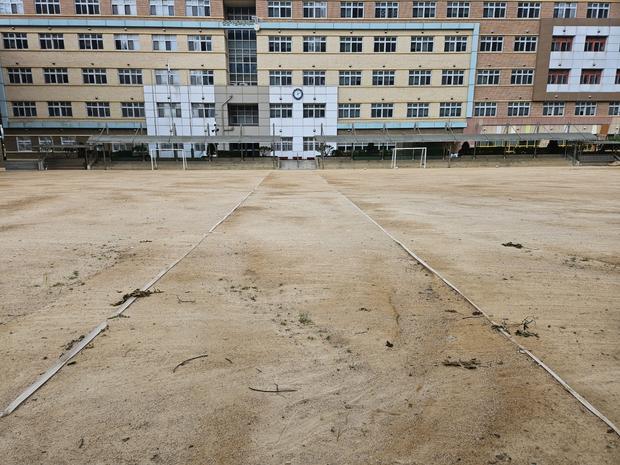이서면중학교 운동장 잡초 제거 | 전국산업안전으로 안정적인 교육 환경 조성