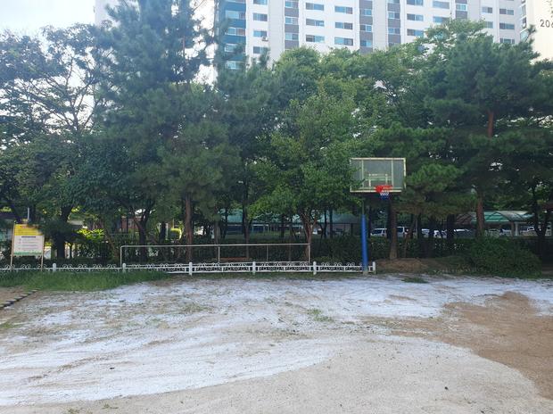 이서면고등학교 운동장 모래 보충, 전국산업안전 ?  학교 시설 안전 강화!