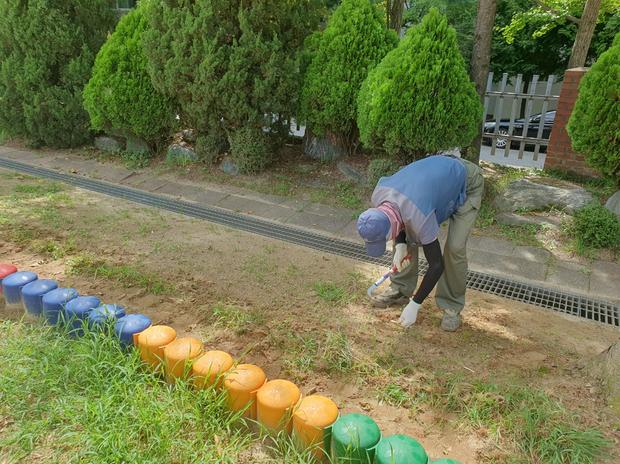 백아면유치원 운동장 소금살포 ?️ 안전하게, 효율적으로 관리하세요! 관련 이미지