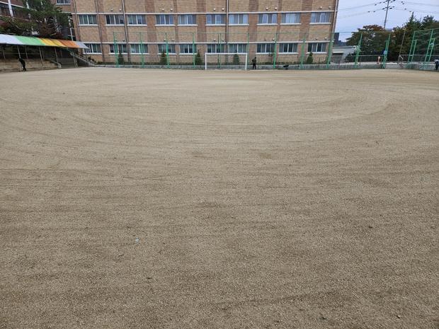 장흥읍초등학교 운동장 잡초 제거: 전문 시공으로 안전하고 아름다운 공간 만들기!