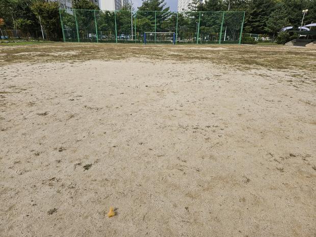 장흥읍중학교 운동장 잡초 제거! 전국산업안전으로  학교 활성화!