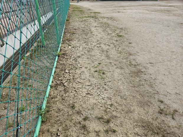 대덕읍유치원운동장 ? 안전 & 관리: 전국산업안전, 실질적인 도움 받으세요!