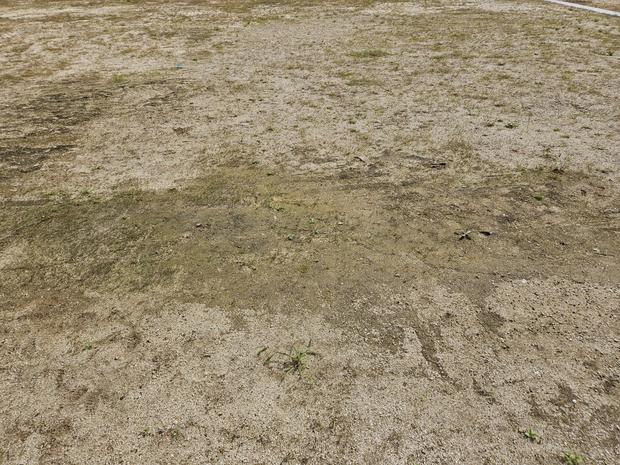 대덕읍유치원 운동장 꼼꼼하게! 안전과 신뢰, 전국산업안전으로 장시간 활용!