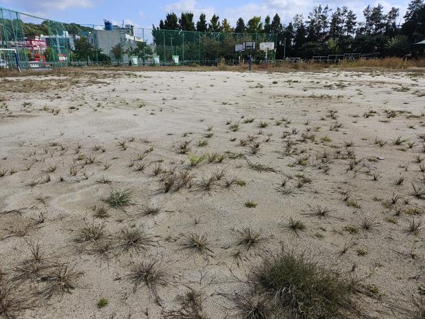 대덕읍병설유치원 운동장 소금살포 ?‍♂️ 안전하게! 전문 시공으로 걱정 없이 놀아보세요.