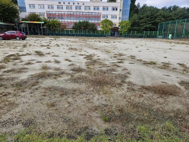 안양면고등학교 운동장 소금살포: 전문 시공으로 안전하고 깨끗한 운동장 만들기! 관련 이미지
