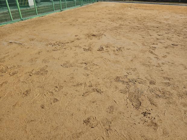 안양면병설유치원 운동장 잡초 제거, 전문 시공으로 안전하고 지속가능한 장비를 만들자!