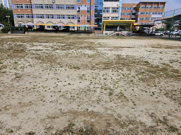 장동면고등학교 운동장 잡초 제거, 전국산업안전으로 안전한 놀이터를 만들어보세요!