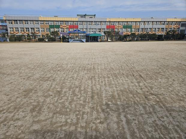 유치면병설유치원운동장 잡초 제거: 전문가로 안전하고 효율적으로!