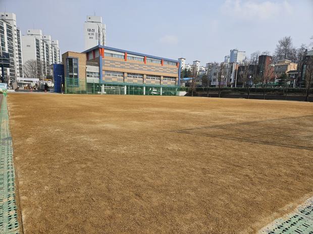 부산면초등학교 운동장 잡초 제거 ❌ 해결 ?️ 전국산업안전 ?